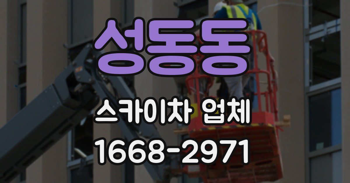 성동동 스카이차 업체
