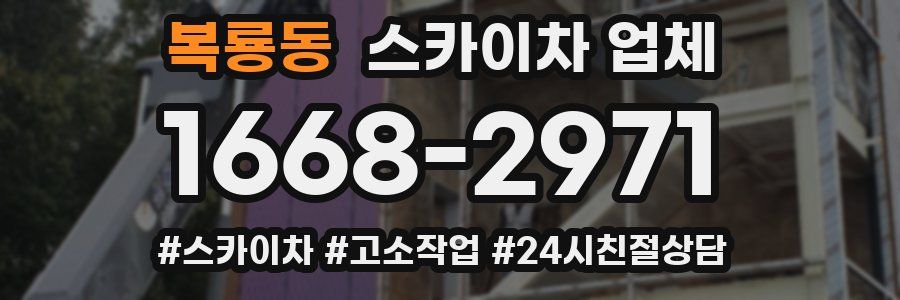 복룡동 스카이차 업체