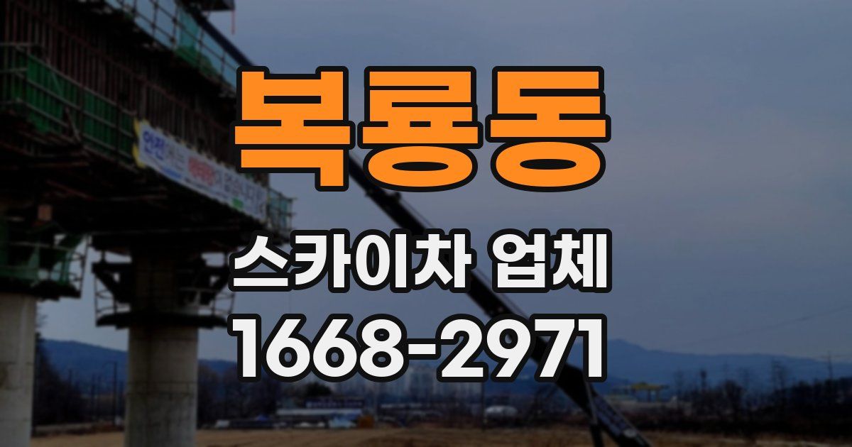 복룡동 스카이차 업체