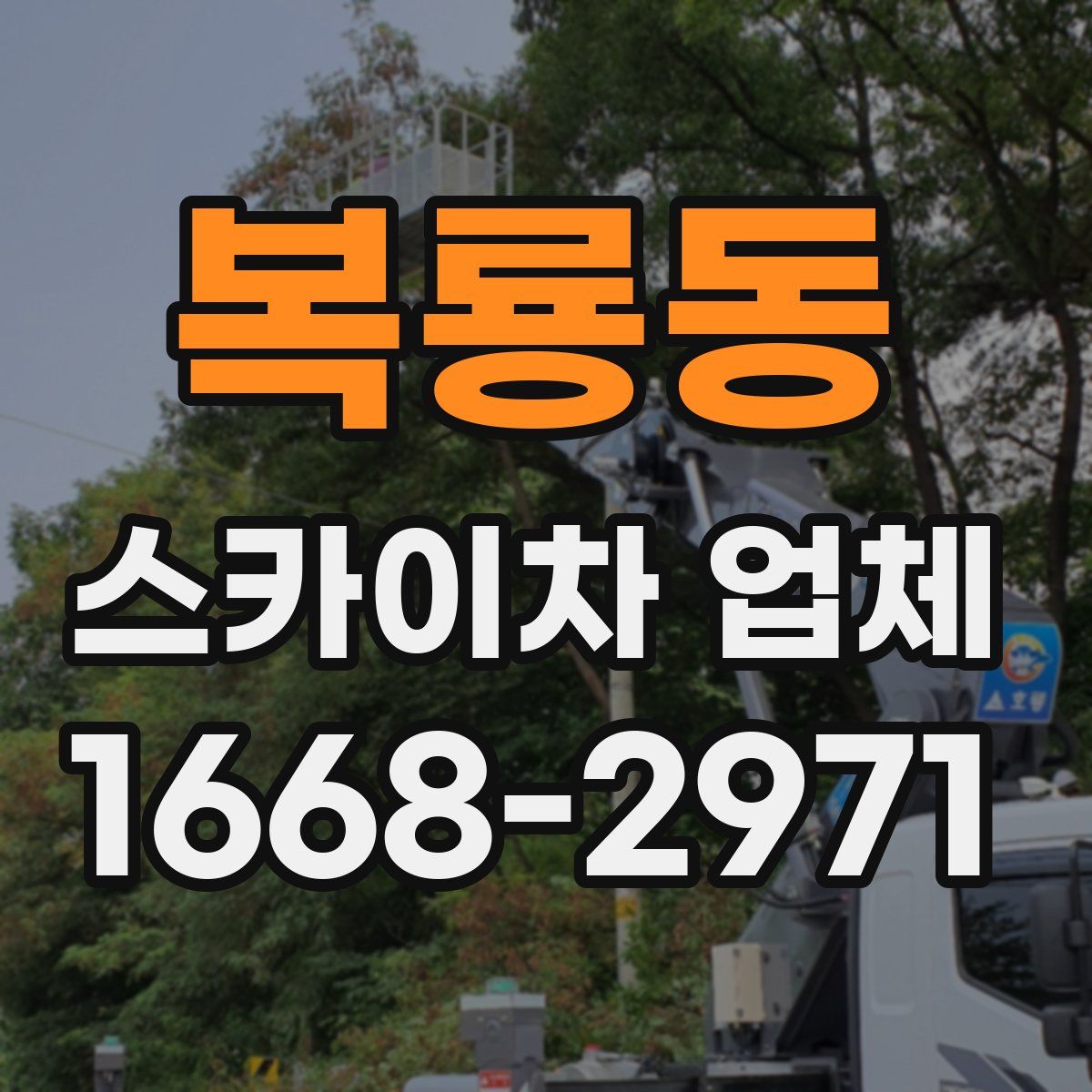 복룡동 스카이차 업체