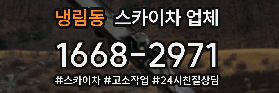 냉림동 스카이차 업체