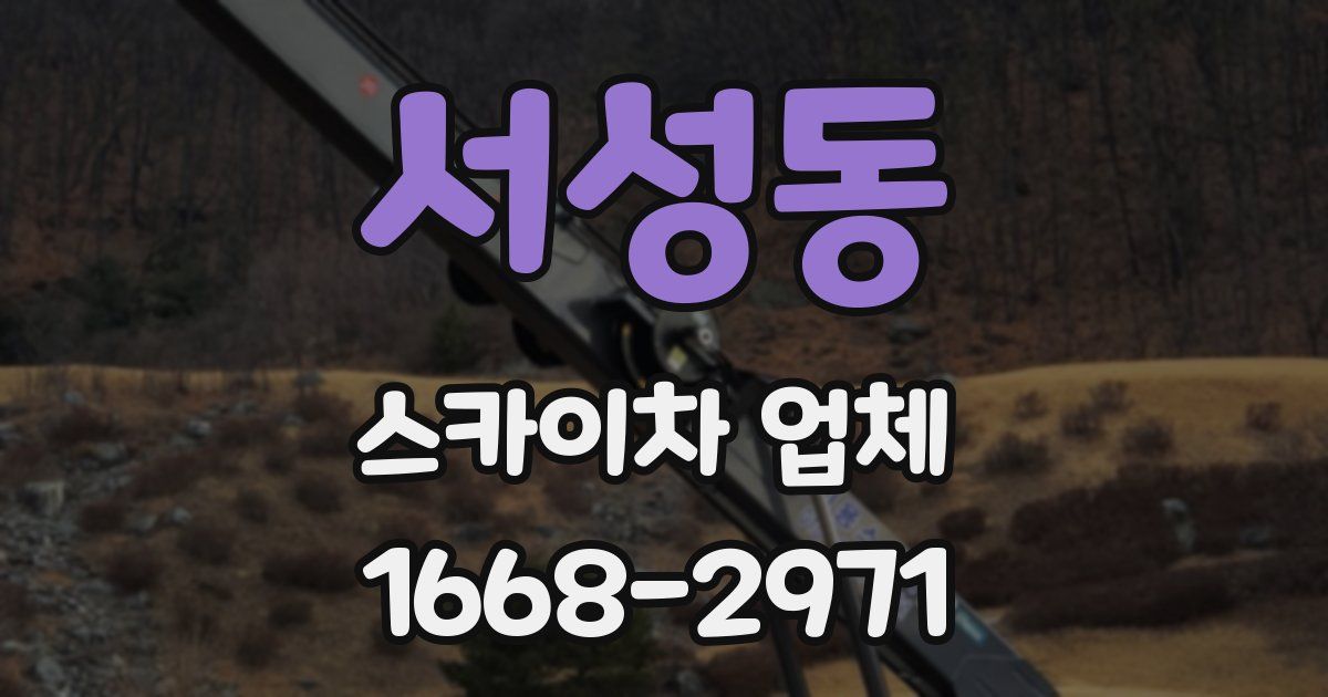 서성동 스카이차 업체