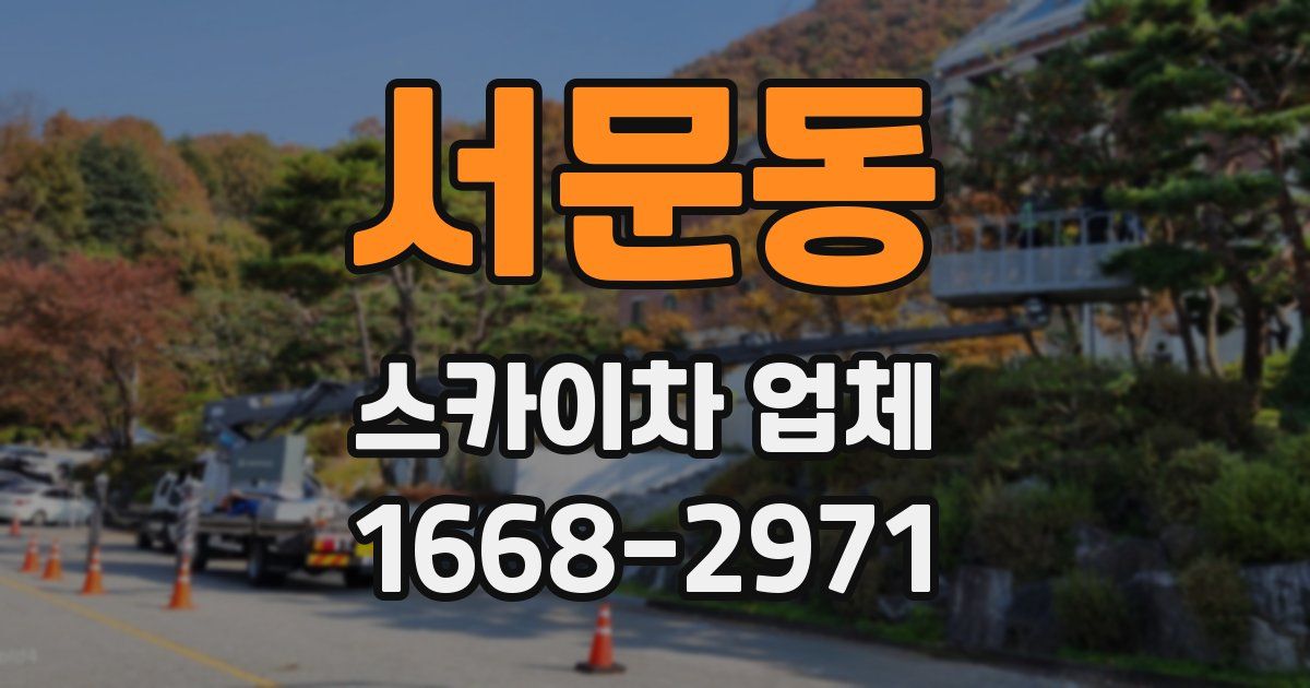 서문동 스카이차 업체