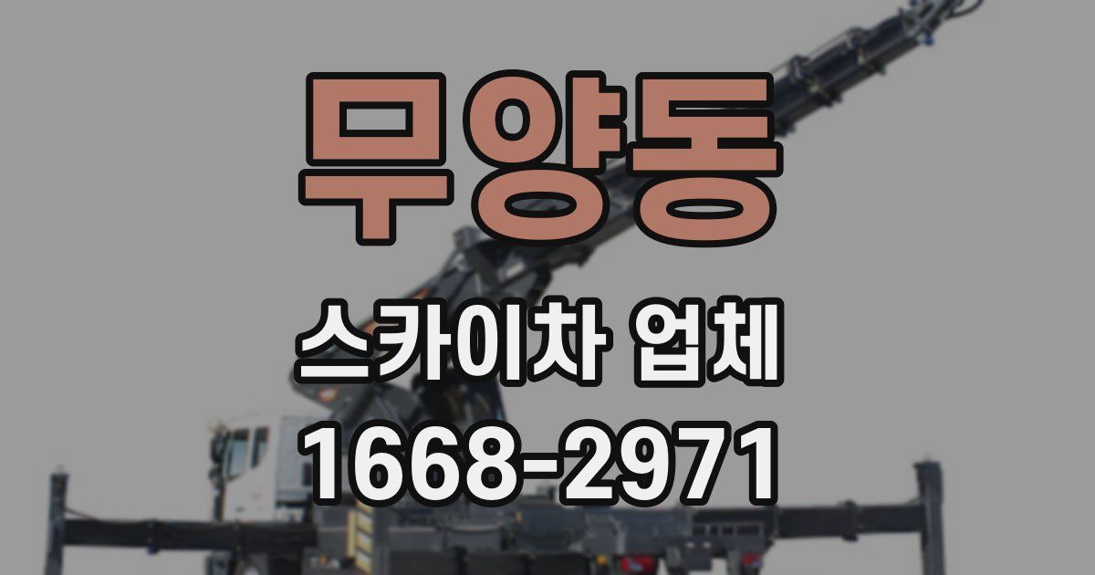 무양동 스카이차 업체