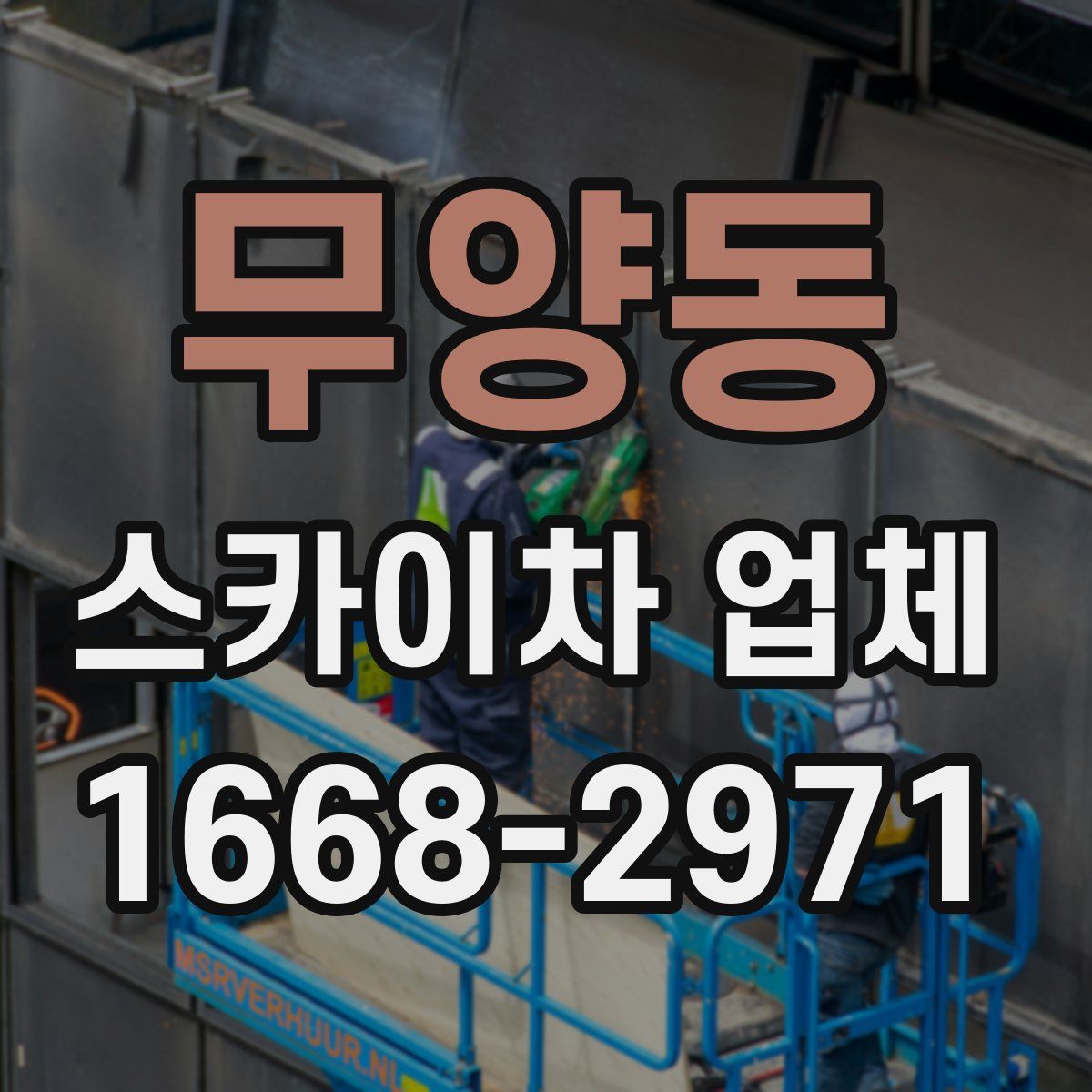 무양동 스카이차 업체