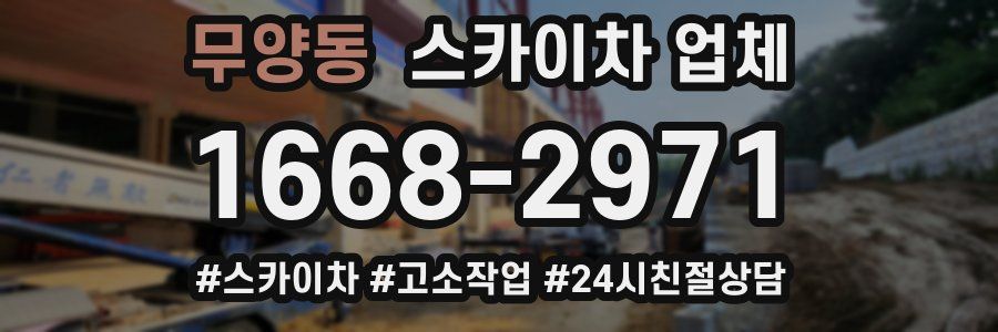 무양동 스카이차 업체