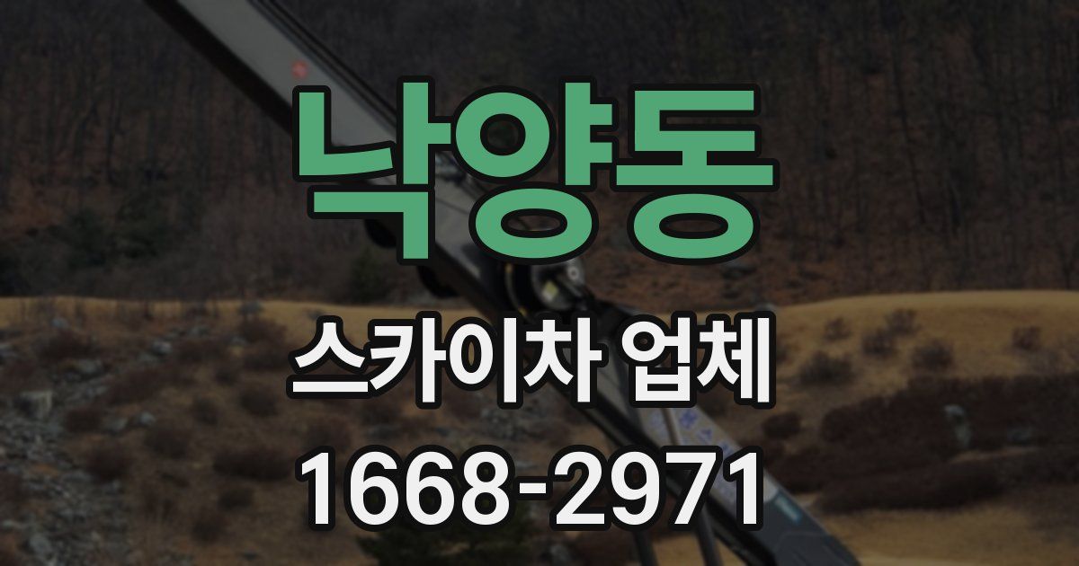 낙양동 스카이차 업체