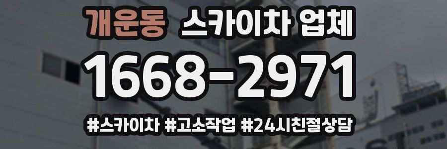 개운동 스카이차 업체