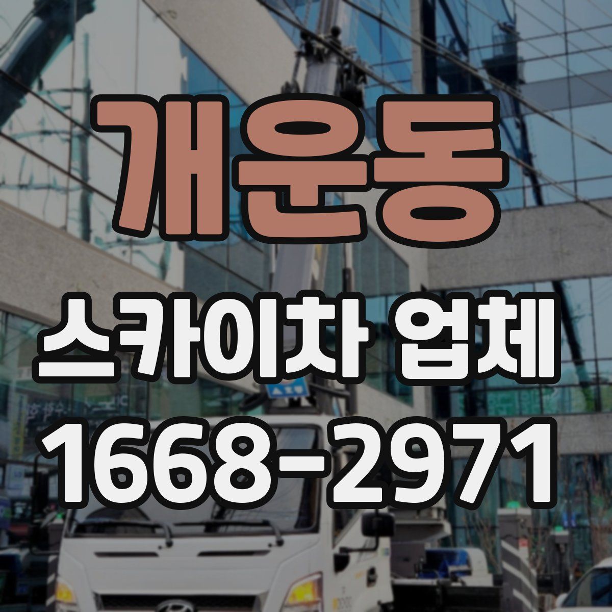 개운동 스카이차 업체