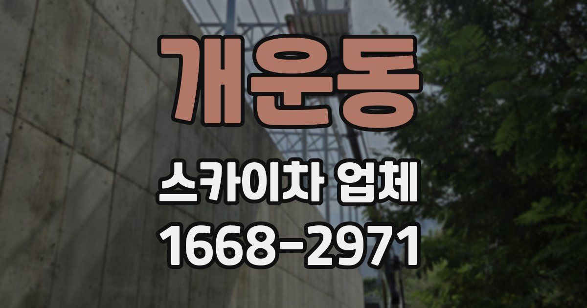 개운동 스카이차 업체