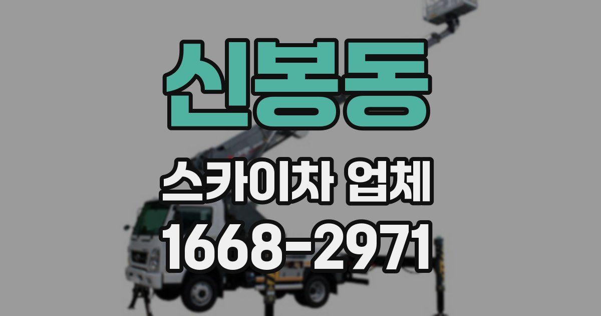 신봉동 스카이차 업체