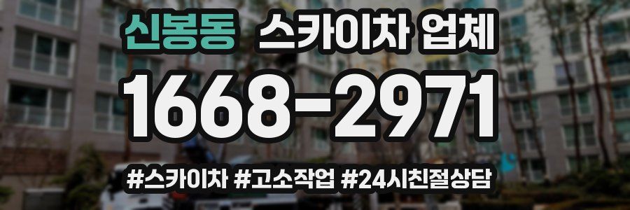 신봉동 스카이차 업체