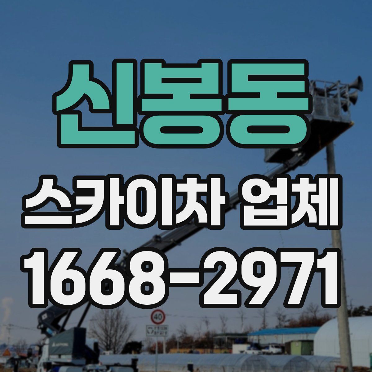 신봉동 스카이차 업체