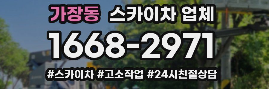 가장동 스카이차 업체