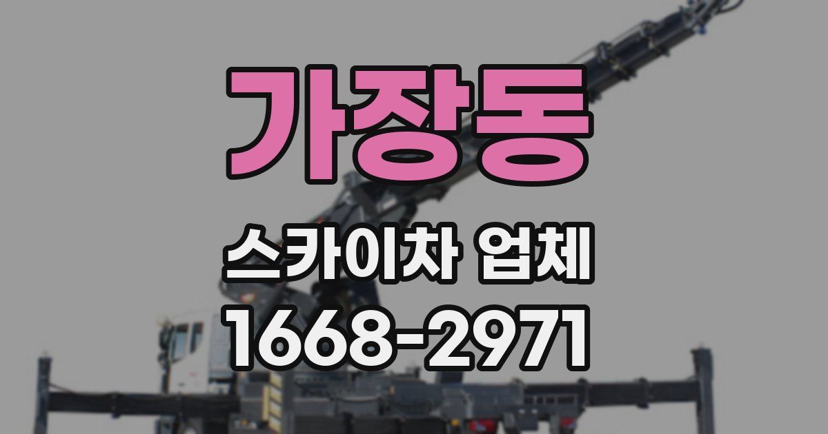 가장동 스카이차 업체