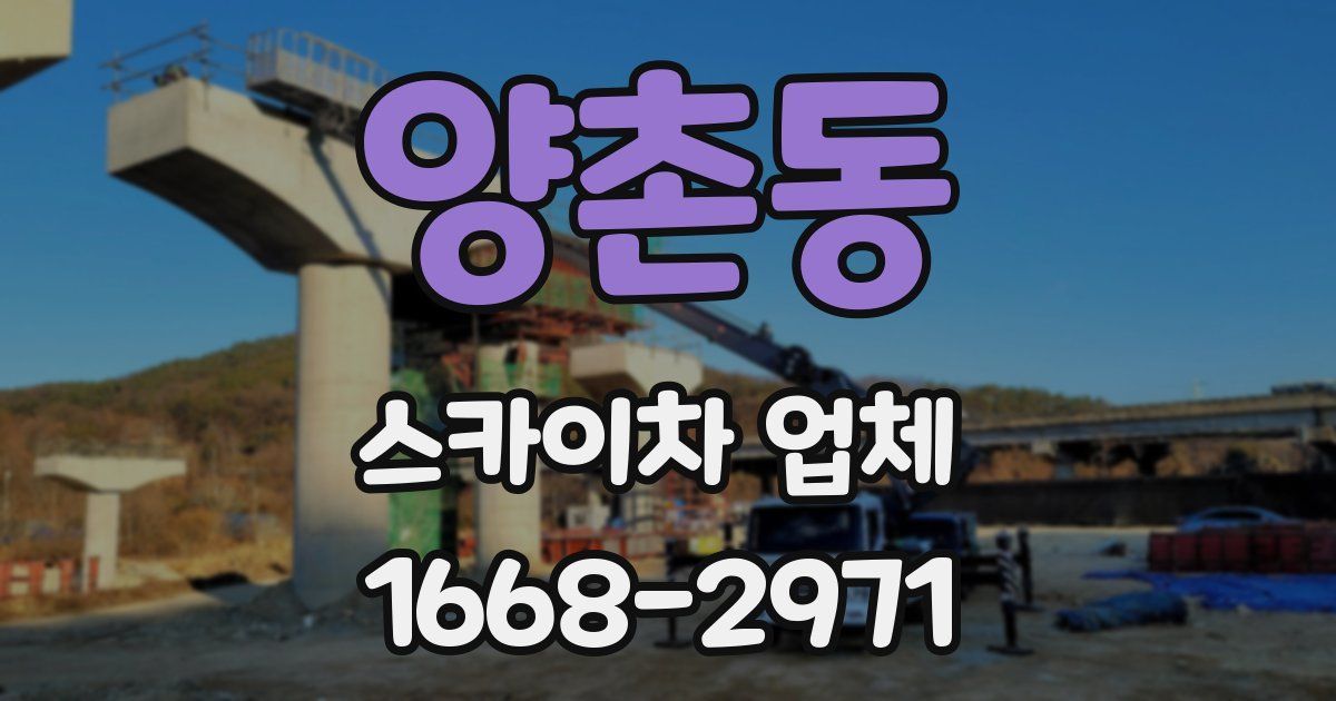 양촌동 스카이차 업체