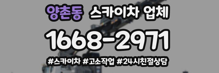양촌동 스카이차 업체