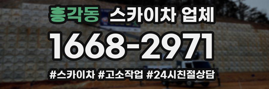 흥각동 스카이차 업체