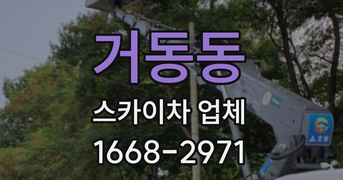 거동동 스카이차 업체