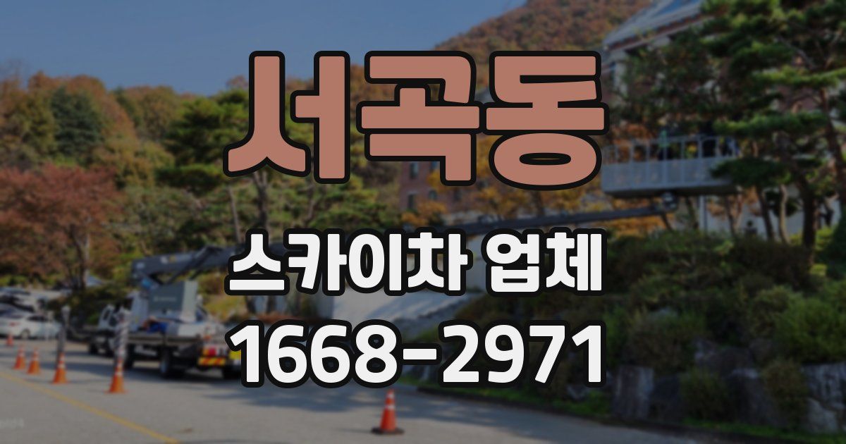 서곡동 스카이차 업체