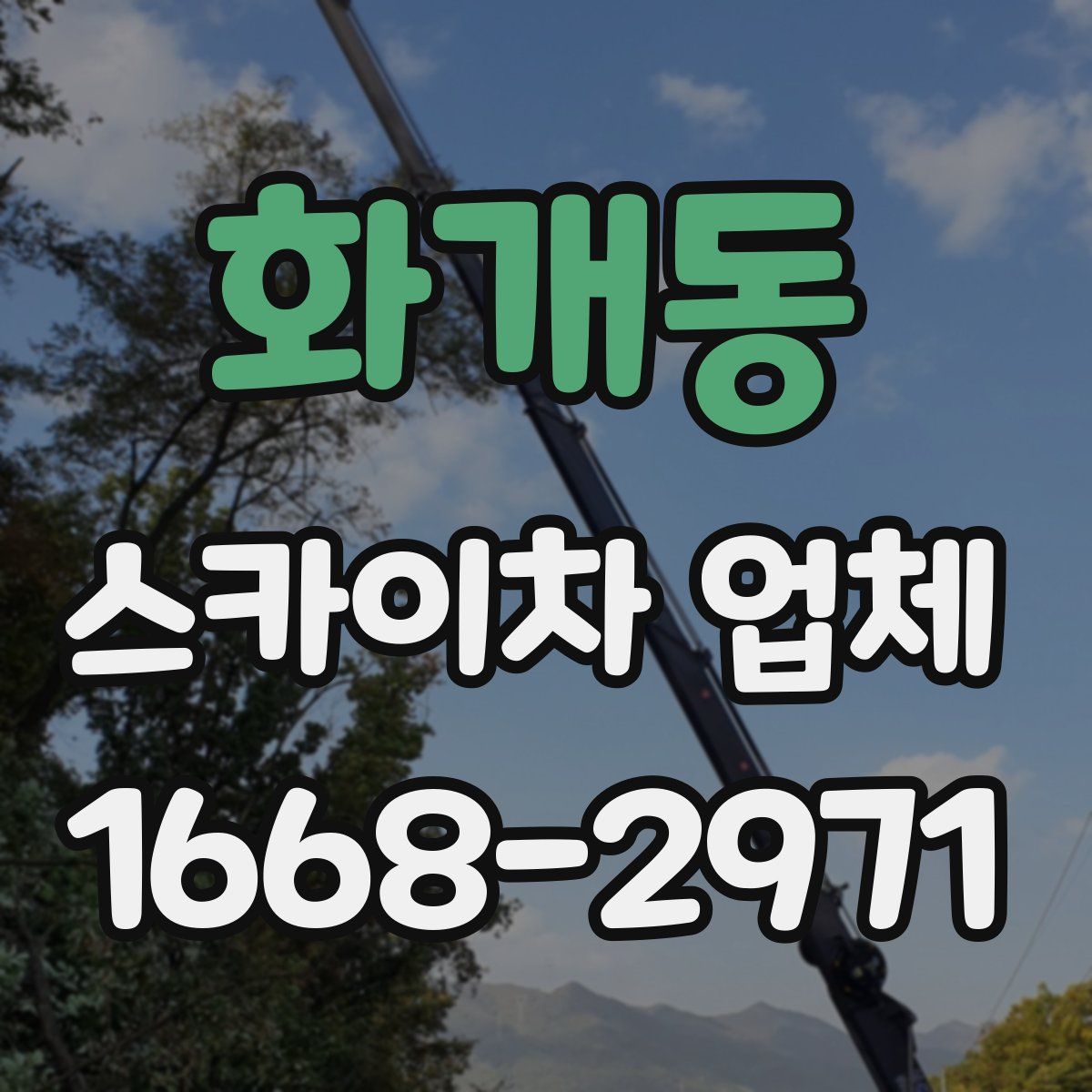 화개동 스카이차 업체