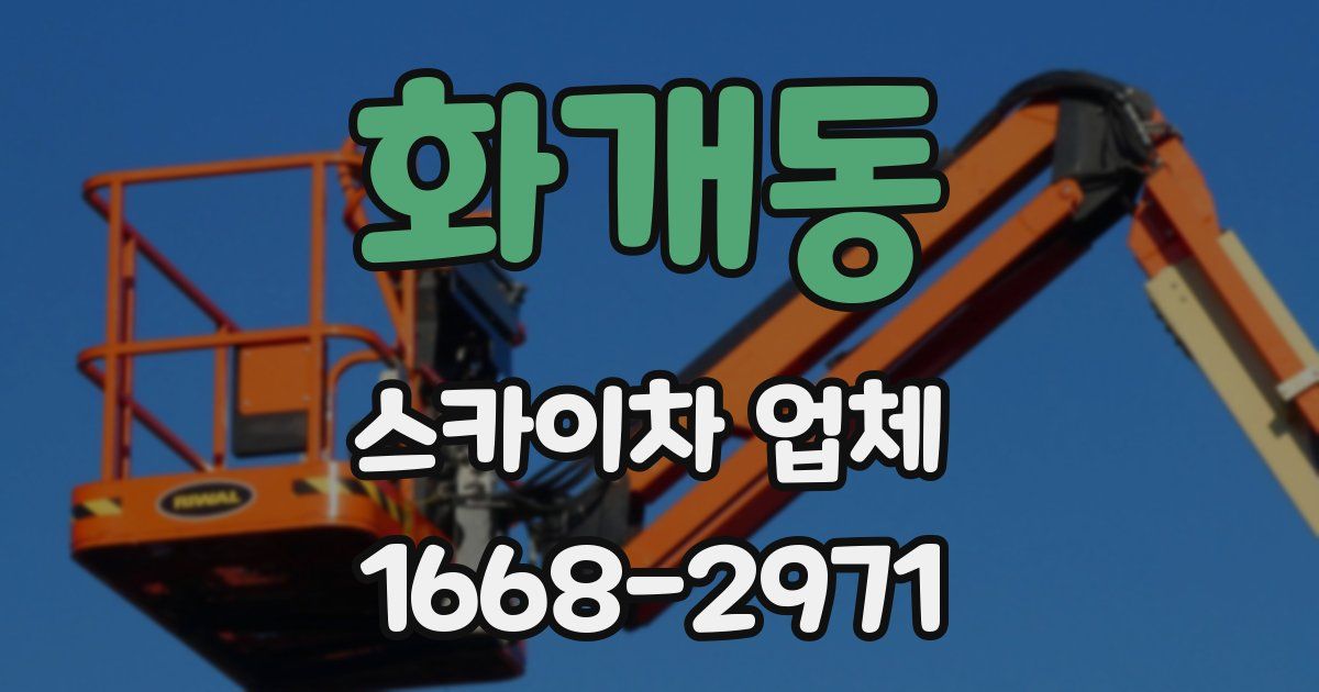 화개동 스카이차 업체