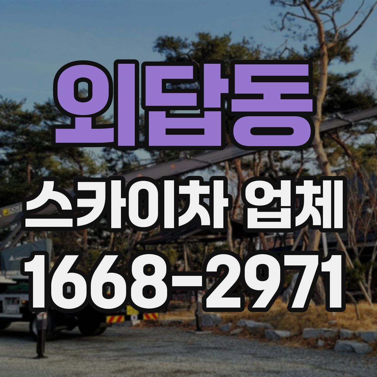 외답동 스카이차 업체