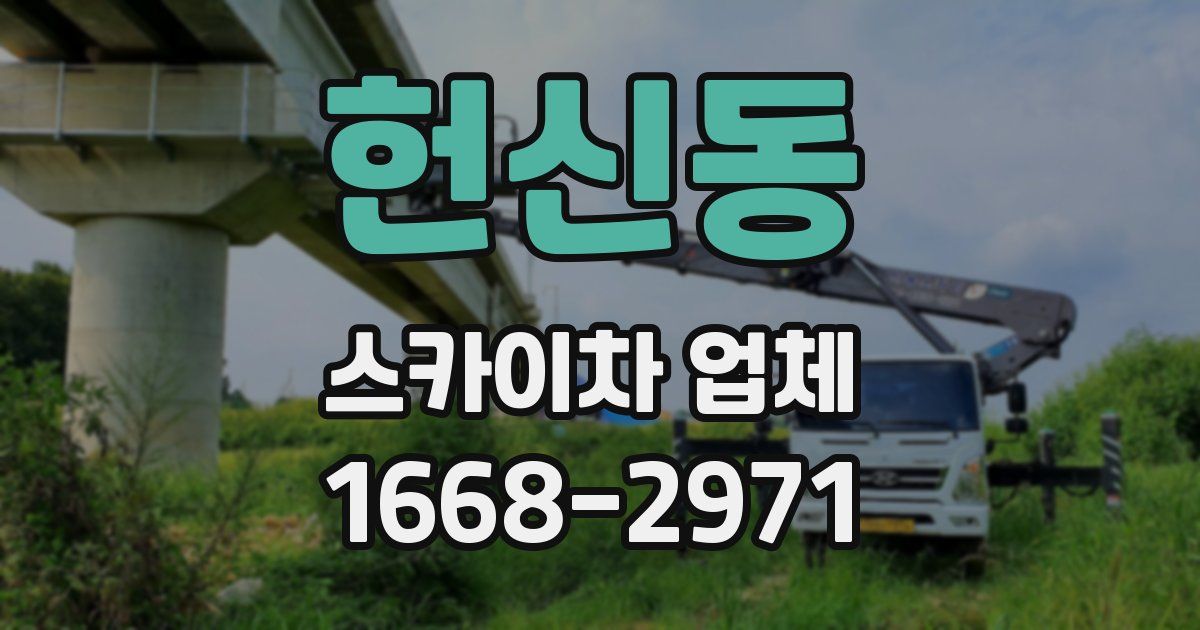 헌신동 스카이차 업체