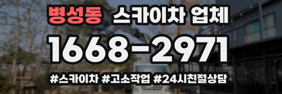 병성동 스카이차 업체