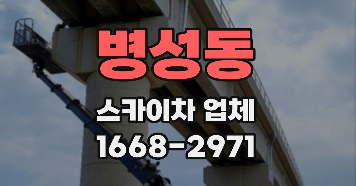 병성동 스카이차 업체