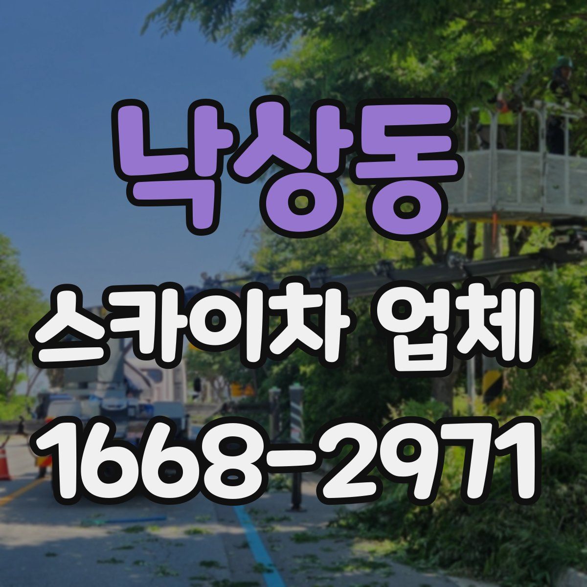 낙상동 스카이차 업체