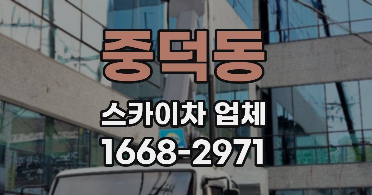중덕동 스카이차 업체