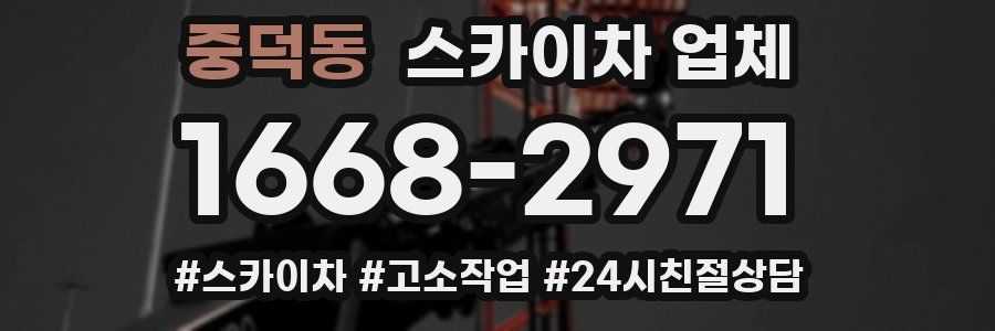중덕동 스카이차 업체