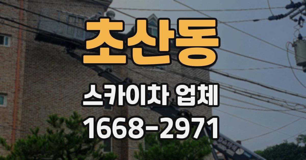 초산동 스카이차 업체