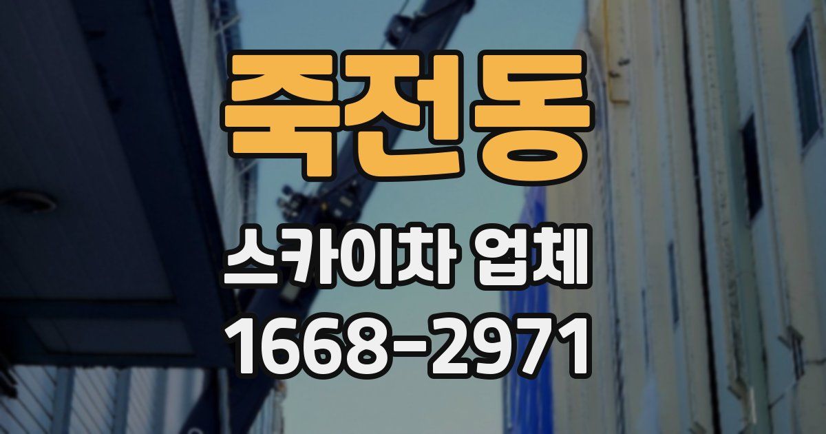 죽전동 스카이차 업체