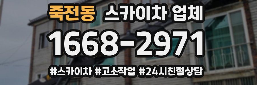 죽전동 스카이차 업체