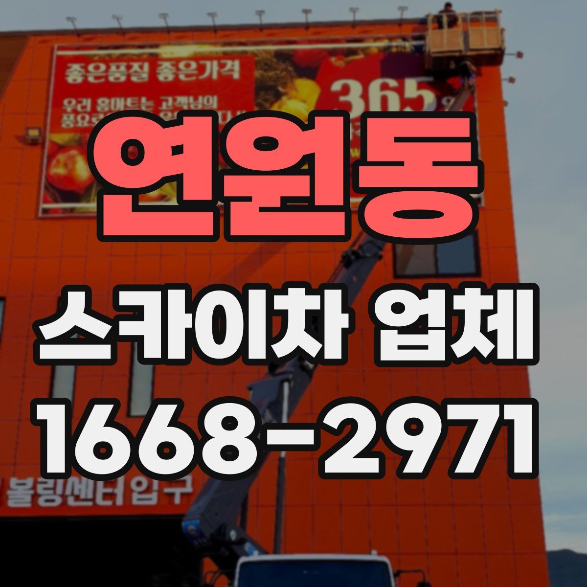 연원동 스카이차 업체