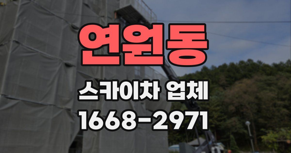 연원동 스카이차 업체