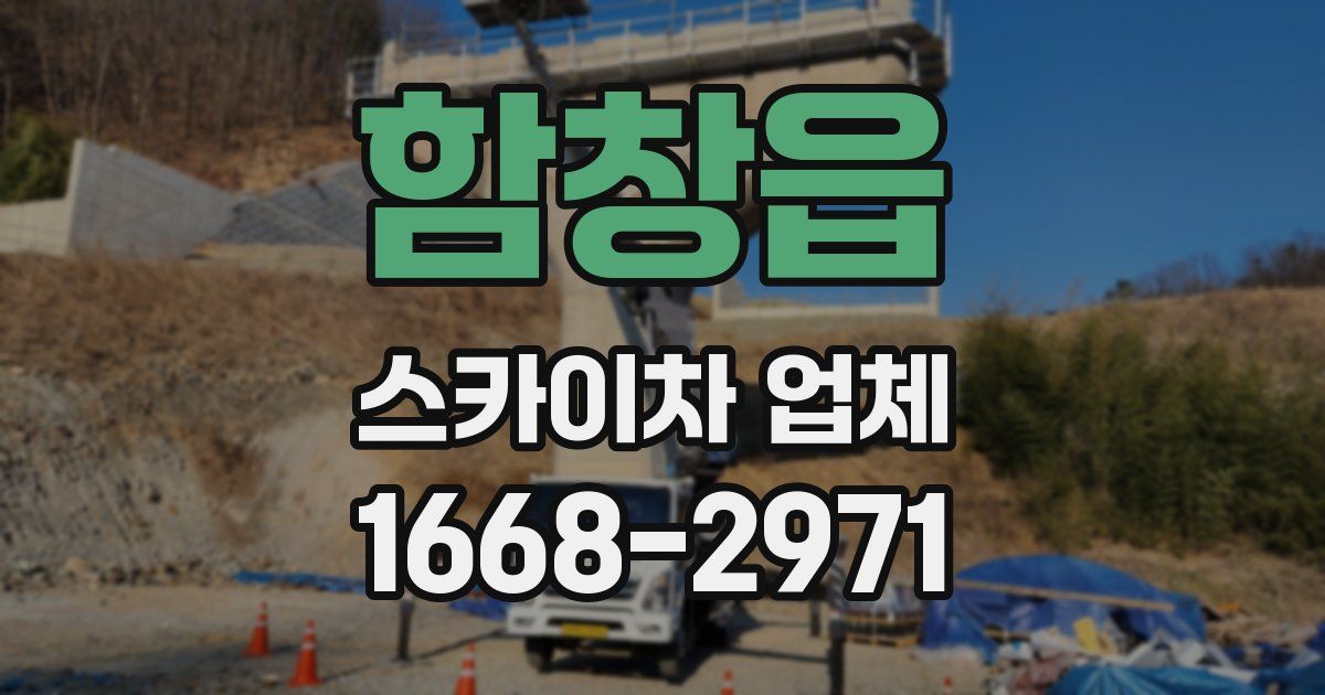 함창읍 스카이차 업체