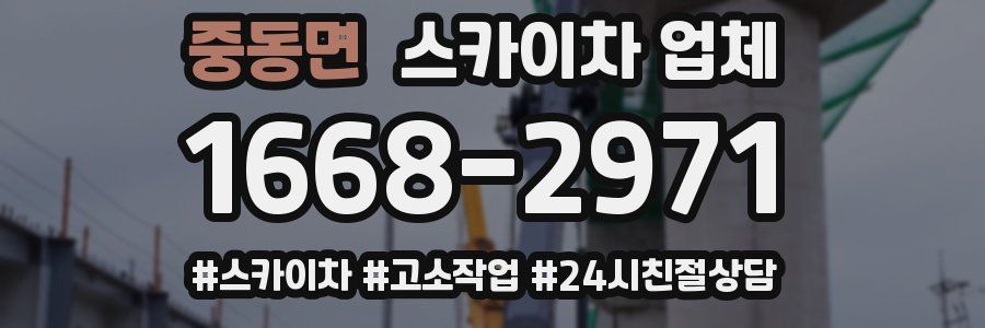 중동면 스카이차 업체