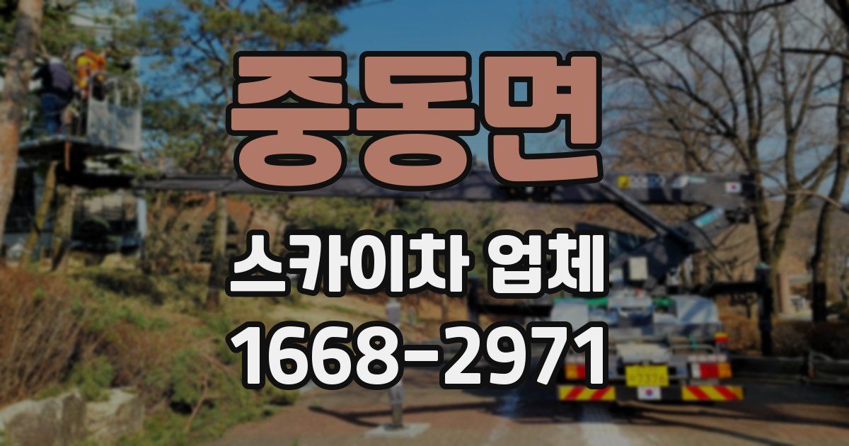 중동면 스카이차 업체