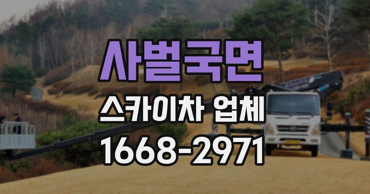 사벌국면 스카이차 업체