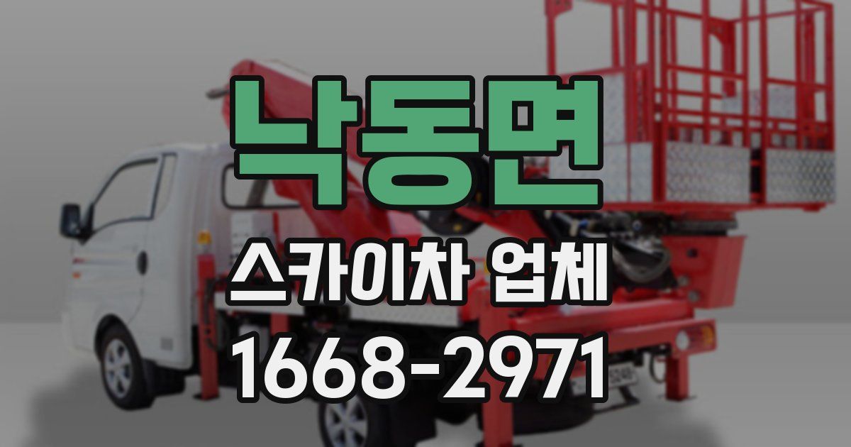 낙동면 스카이차 업체