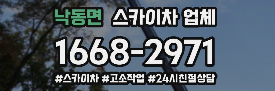 낙동면 스카이차 업체