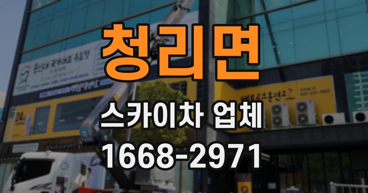 청리면 스카이차 업체