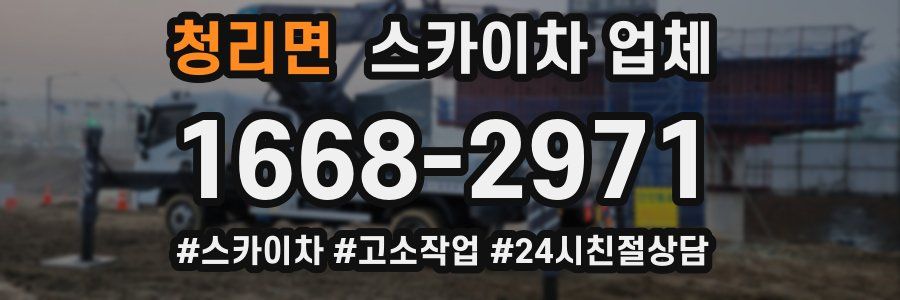 청리면 스카이차 업체