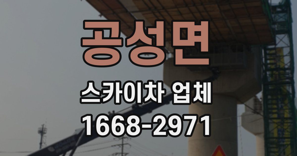 공성면 스카이차 업체