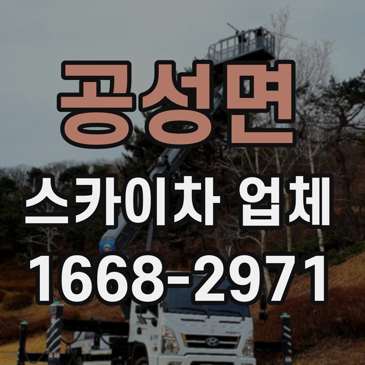 공성면 스카이차 업체
