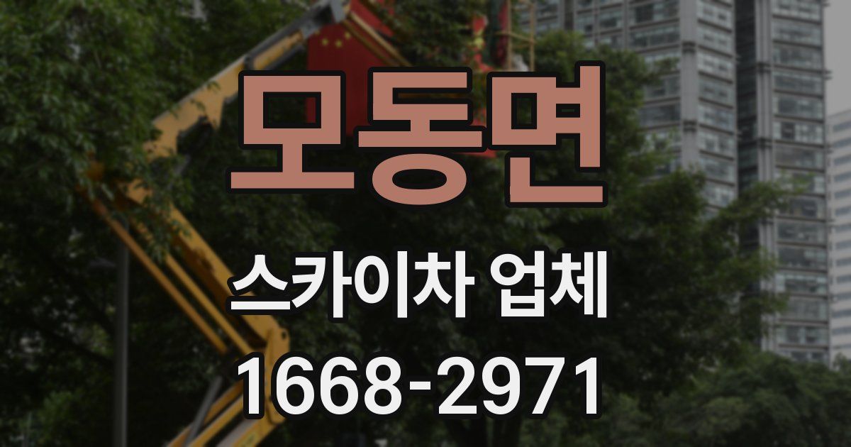 모동면 스카이차 업체