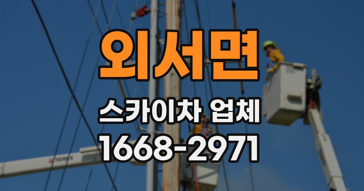 외서면 스카이차 업체